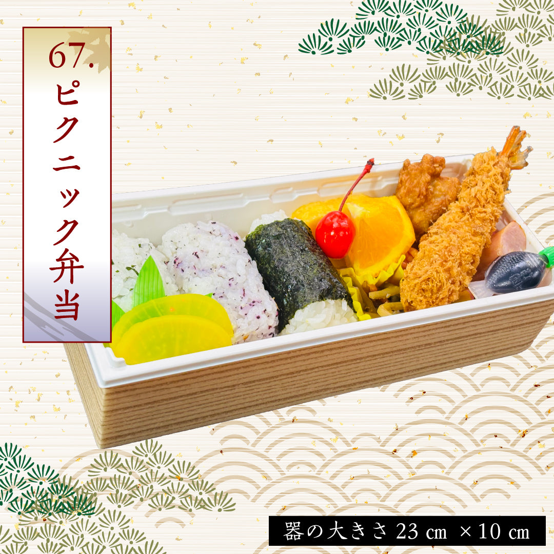 67.ピクニック弁当